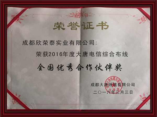 2016年度大唐电信综合布线全国优秀合作伙伴奖